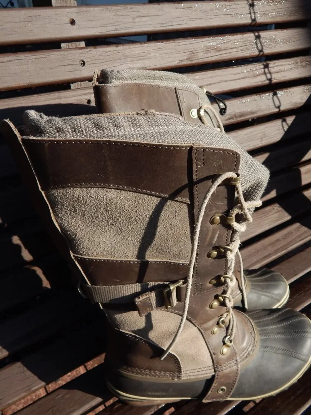 Sorel conquest carly